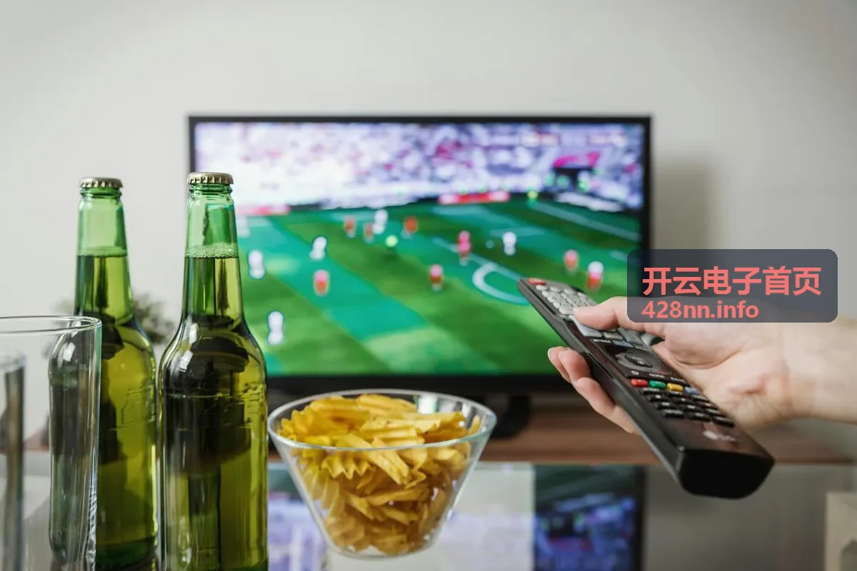 汽车电子服务，开云电子首页